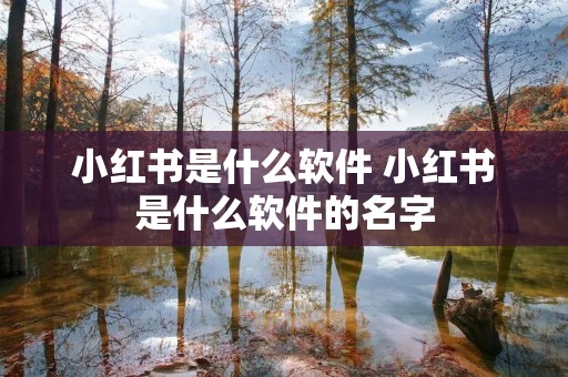 小红书是什么软件 小红书是什么软件的名字