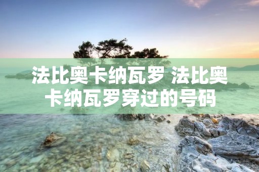 法比奥卡纳瓦罗 法比奥卡纳瓦罗穿过的号码 法比奥卡纳瓦罗 法比奥卡纳瓦罗穿过的号码
