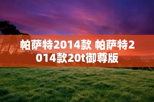 帕萨特2014款 帕萨特2014款20t御尊版