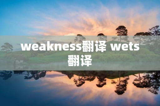 weakness翻译 wets翻译