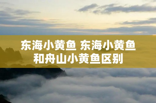 东海小黄鱼 东海小黄鱼和舟山小黄鱼区别