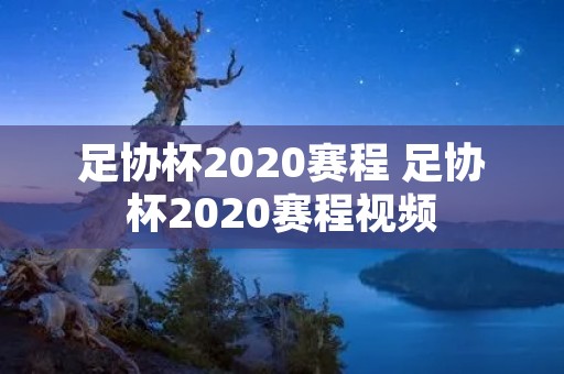 足协杯2020赛程 足协杯2020赛程视频