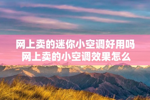 网上卖的迷你小空调好用吗 网上卖的小空调效果怎么样