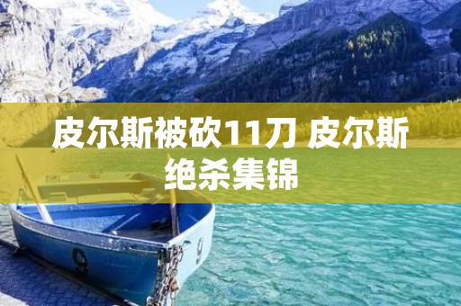 皮尔斯被砍11刀 皮尔斯绝杀集锦 皮尔斯被砍11刀 皮尔斯绝杀集锦