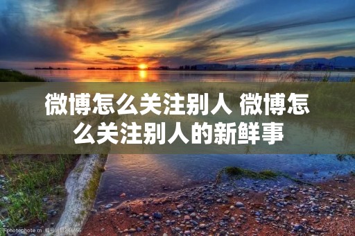 微博怎么关注别人 微博怎么关注别人的新鲜事 微博怎么关注别人 微博怎么关注别人的新鲜事