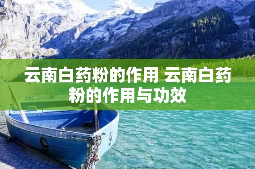云南白药粉的作用 云南白药粉的作用与功效