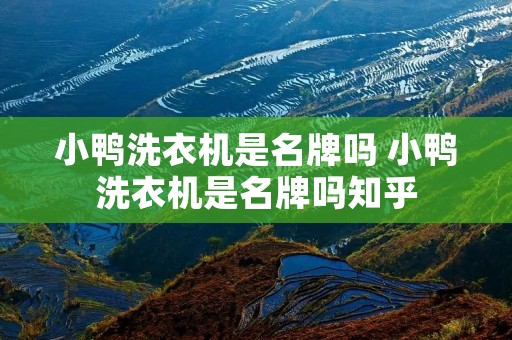 小鸭洗衣机是名牌吗 小鸭洗衣机是名牌吗知乎