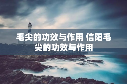 毛尖的功效与作用 信阳毛尖的功效与作用