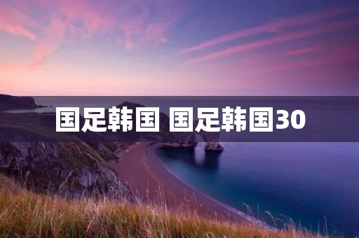 国足韩国 国足韩国30