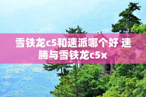 雪铁龙c5和速派哪个好 速腾与雪铁龙c5x
