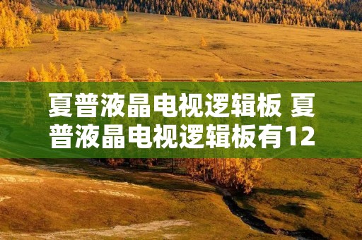 夏普液晶电视逻辑板 夏普液晶电视逻辑板有12伏电压,没有33伏怎么了 夏普液晶电视逻辑板 夏普液晶电视逻辑板有12伏电压,没有33伏怎么了