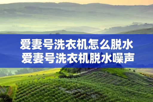 爱妻号洗衣机怎么脱水 爱妻号洗衣机脱水噪声大 爱妻号洗衣机怎么脱水 爱妻号洗衣机脱水噪声大