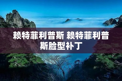 赖特菲利普斯 赖特菲利普斯脸型补丁 赖特菲利普斯 赖特菲利普斯脸型补丁