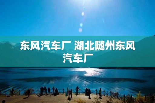 东风汽车厂 湖北随州东风汽车厂