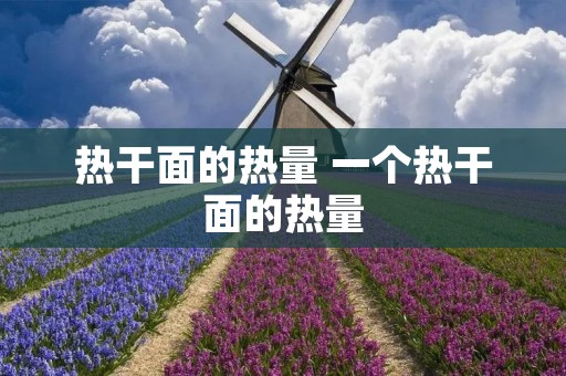 热干面的热量 一个热干面的热量
