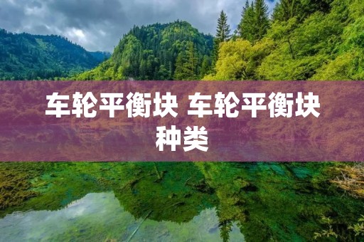 车轮平衡块 车轮平衡块种类