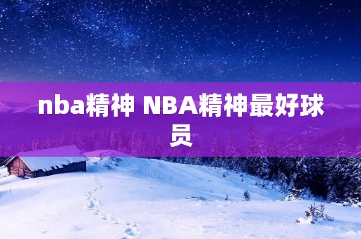 nba精神 NBA精神最好球员