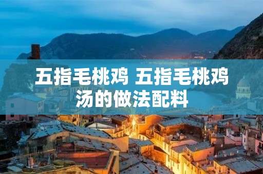 五指毛桃鸡 五指毛桃鸡汤的做法配料