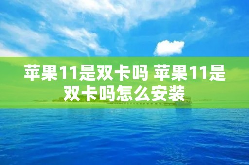 苹果11是双卡吗 苹果11是双卡吗怎么安装