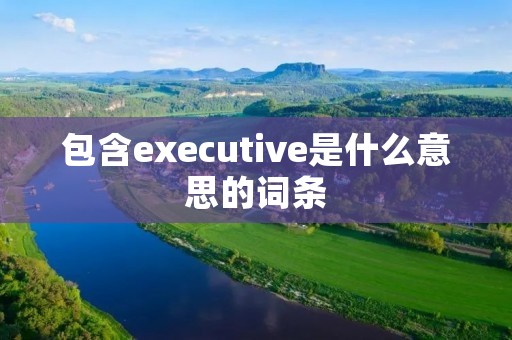 包含executive是什么意思的词条