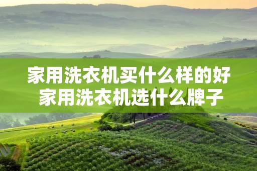 家用洗衣机买什么样的好 家用洗衣机选什么牌子好