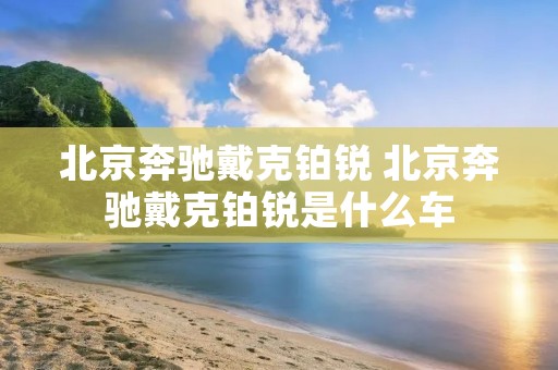北京奔驰戴克铂锐 北京奔驰戴克铂锐是什么车