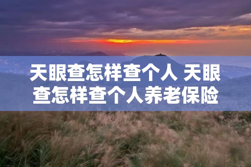 天眼查怎样查个人 天眼查怎样查个人养老保险 天眼查怎样查个人 天眼查怎样查个人养老保险