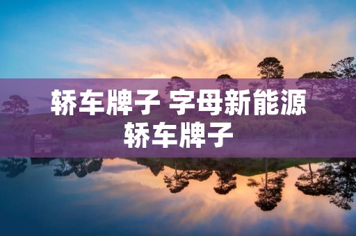 轿车牌子 字母新能源轿车牌子