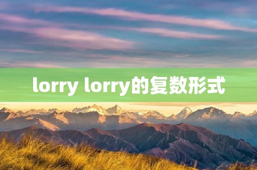 lorry lorry的复数形式