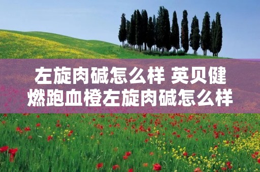 左旋肉碱怎么样 英贝健燃跑血橙左旋肉碱怎么样 左旋肉碱怎么样 英贝健燃跑血橙左旋肉碱怎么样