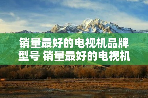 销量最好的电视机品牌型号 销量最好的电视机品牌2020