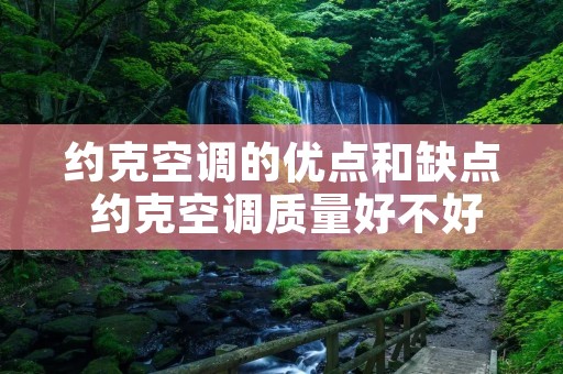 约克空调的优点和缺点 约克空调质量好不好约克空调的优缺点 约克空调的优点和缺点 约克空调质量好不好约克空调的优缺点