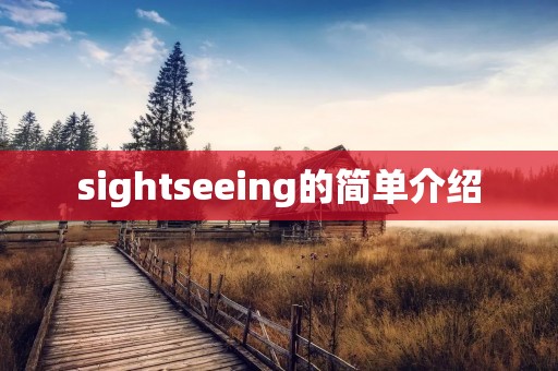 sightseeing的简单介绍