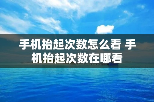 手机抬起次数怎么看 手机抬起次数在哪看 手机抬起次数怎么看 手机抬起次数在哪看