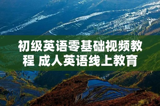 初级英语零基础视频教程 成人英语线上教育哪家好