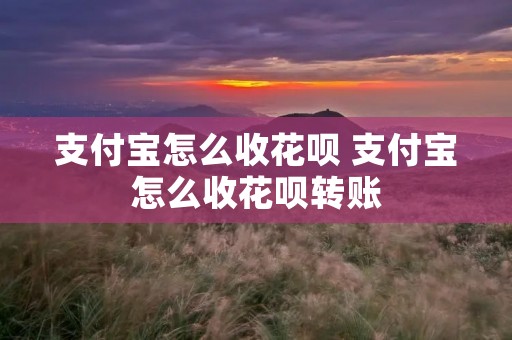 支付宝怎么收花呗 支付宝怎么收花呗转账