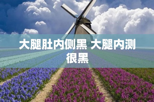 大腿肚内侧黑 大腿内测很黑