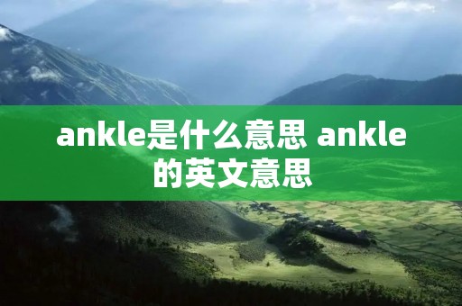 ankle是什么意思 ankle的英文意思