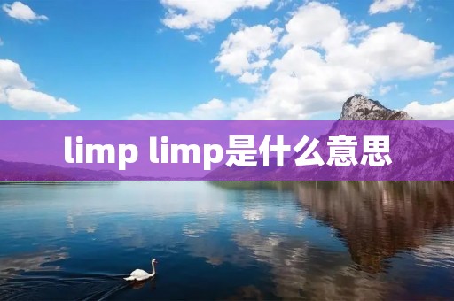 limp limp是什么意思