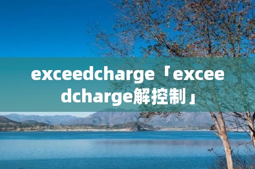 exceedcharge「exceedcharge解控制」