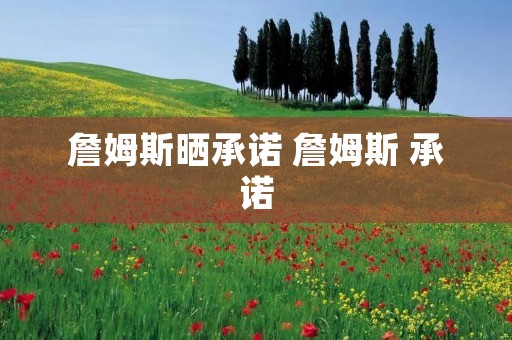 詹姆斯晒承诺 詹姆斯 承诺