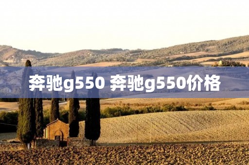 奔驰g550 奔驰g550价格 奔驰g550 奔驰g550价格