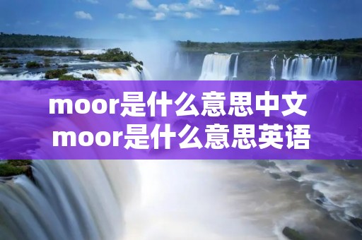 moor是什么意思中文 moor是什么意思英语
