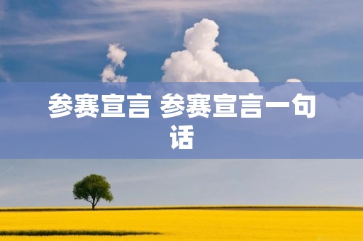 参赛宣言 参赛宣言一句话