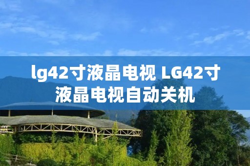 lg42寸液晶电视 LG42寸液晶电视自动关机