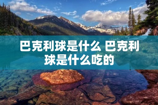 巴克利球是什么 巴克利球是什么吃的