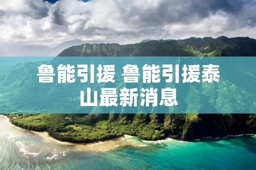 鲁能引援 鲁能引援泰山最新消息 鲁能引援 鲁能引援泰山最新消息