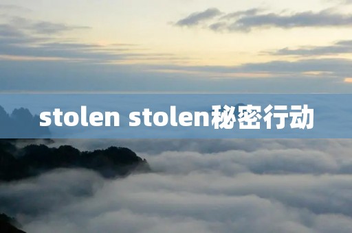 stolen stolen秘密行动