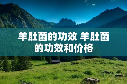 羊肚菌的功效 羊肚菌的功效和价格