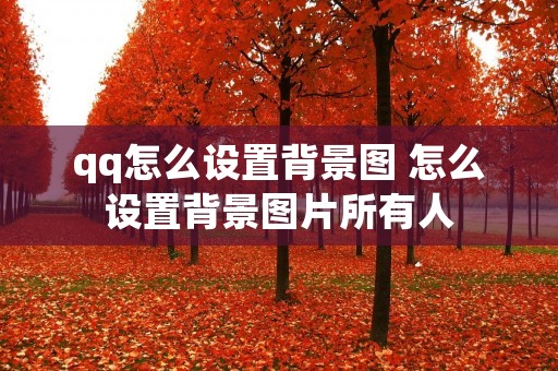 qq怎么设置背景图 怎么设置背景图片所有人 qq怎么设置背景图 怎么设置背景图片所有人